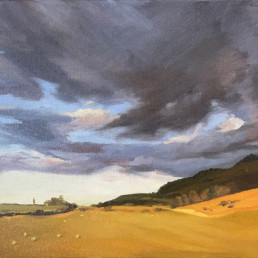 The Downs at Edburton, looking east