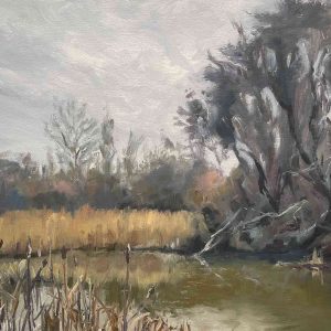Winter Lake at Woods Mill, Small Dole